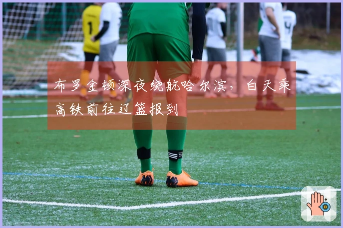 布罗金顿深夜绕航哈尔滨，白天乘高铁前往辽篮报到