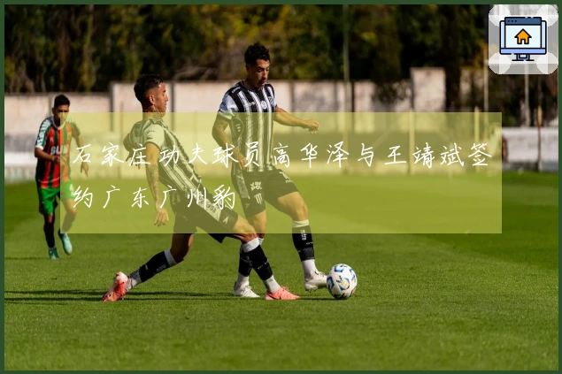 石家庄功夫球员高华泽与王靖斌签约广东广州豹